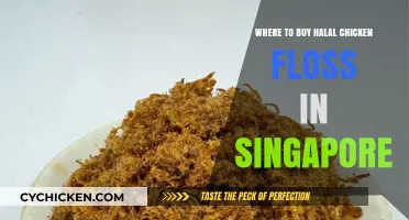 Discover Top Spots to Buy Halal Chicken Floss in Singapore