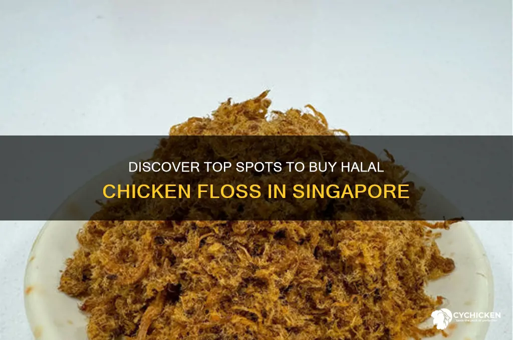 where to buy halal chicken floss in singapore