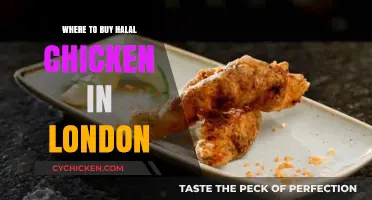 Discover London's Top Halal Chicken Shops and Suppliers