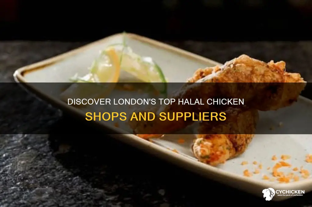 where to buy halal chicken in london