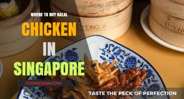 Discover Top Halal Chicken Suppliers in Singapore: A Shopper's Guide