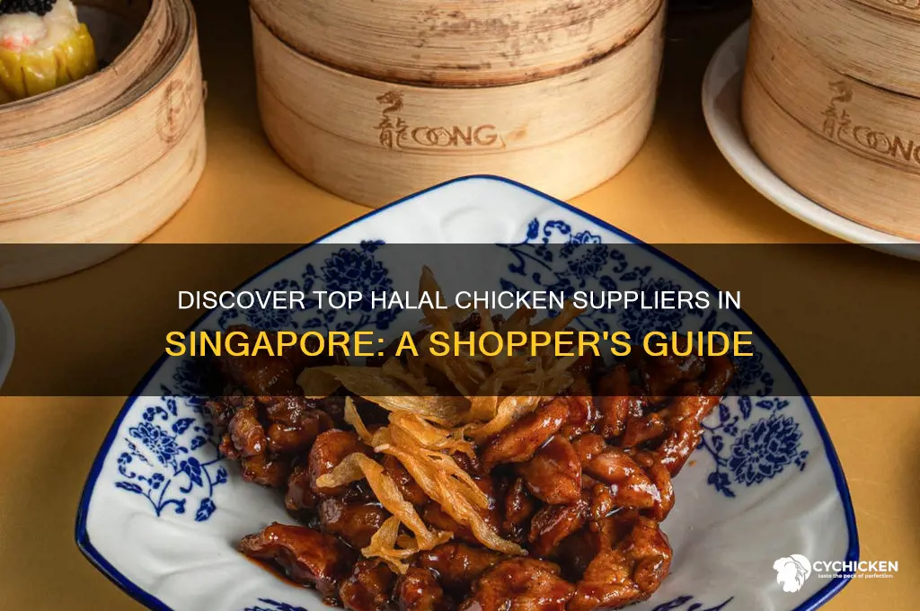 where to buy halal chicken in singapore