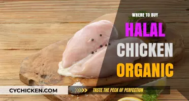Discover Top Sources for Organic Halal Chicken Near You
