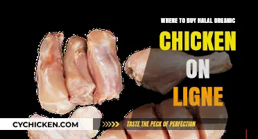 Shop Halal Organic Chicken Online: Top Retailers for Quality Poultry