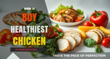 Discover the Best Sources for Healthy, Nutritious Chicken Options