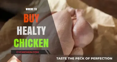 Discover the Best Places to Buy Healthy, High-Quality Chicken