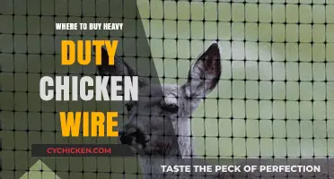 Best Places to Purchase Heavy Duty Chicken Wire for Your Project