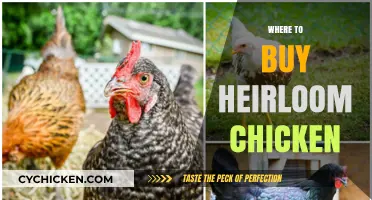 Discover the Best Sources to Buy Heirloom Chicken Today