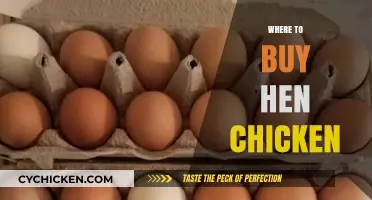 Best Places to Purchase Healthy Hen Chickens for Your Flock