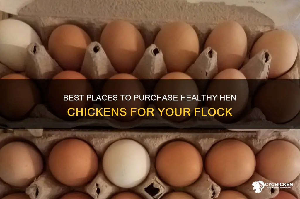 where to buy hen chicken