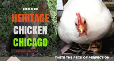Discover Chicago's Best Sources for Heritage Chicken: A Buyer's Guide