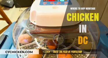 Discover DC's Best Sources for Heritage Chicken: A Buyer's Guide
