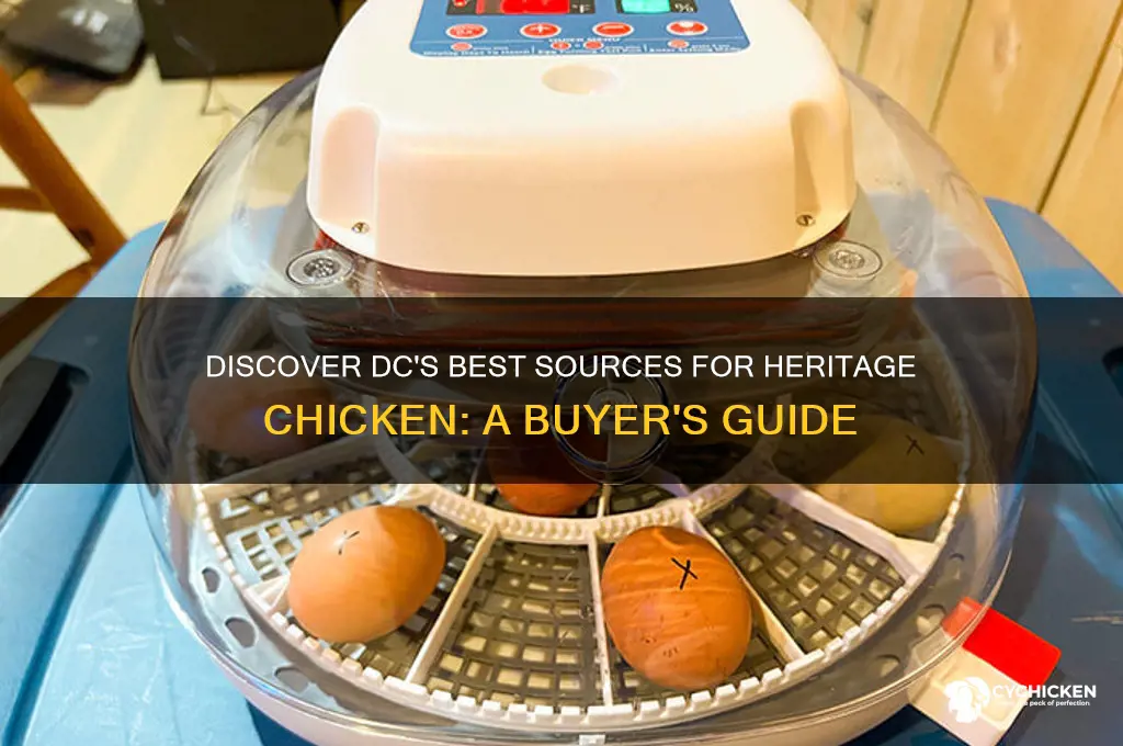 where to buy heritage chicken in dc