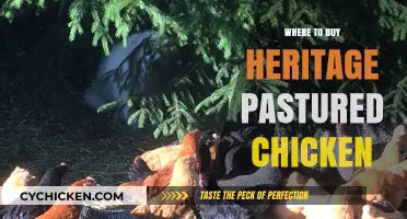 Discover the Best Sources for Heritage Pastured Chicken Near You