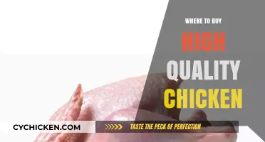Discover Top Sources for Premium, High-Quality Chicken Near You