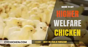 Ethical Eating: Top Sources for Higher Welfare Chicken Purchases