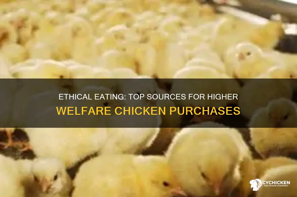 where to buy higher welfare chicken