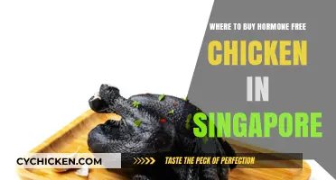 Hormone-Free Chicken in Singapore: Top Stores and Markets to Buy
