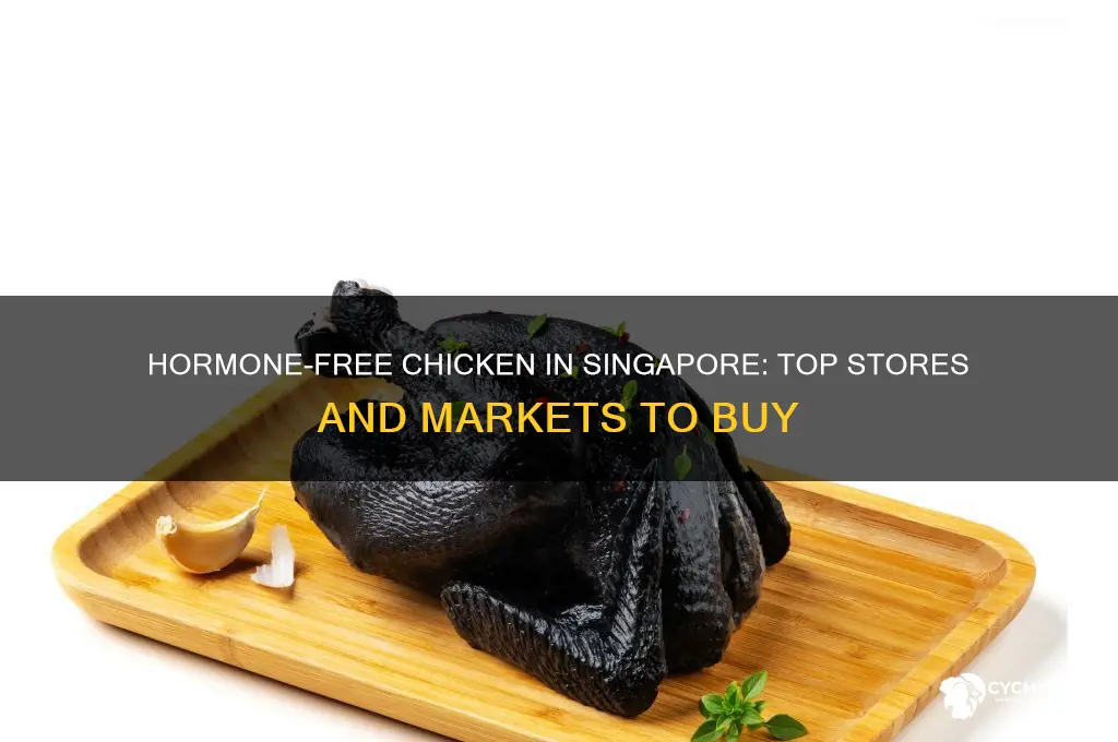 where to buy hormone free chicken in singapore