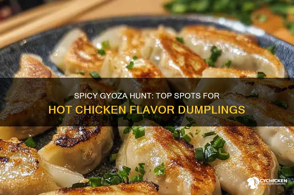 where to buy hot chicken flavor gyoza dumpling