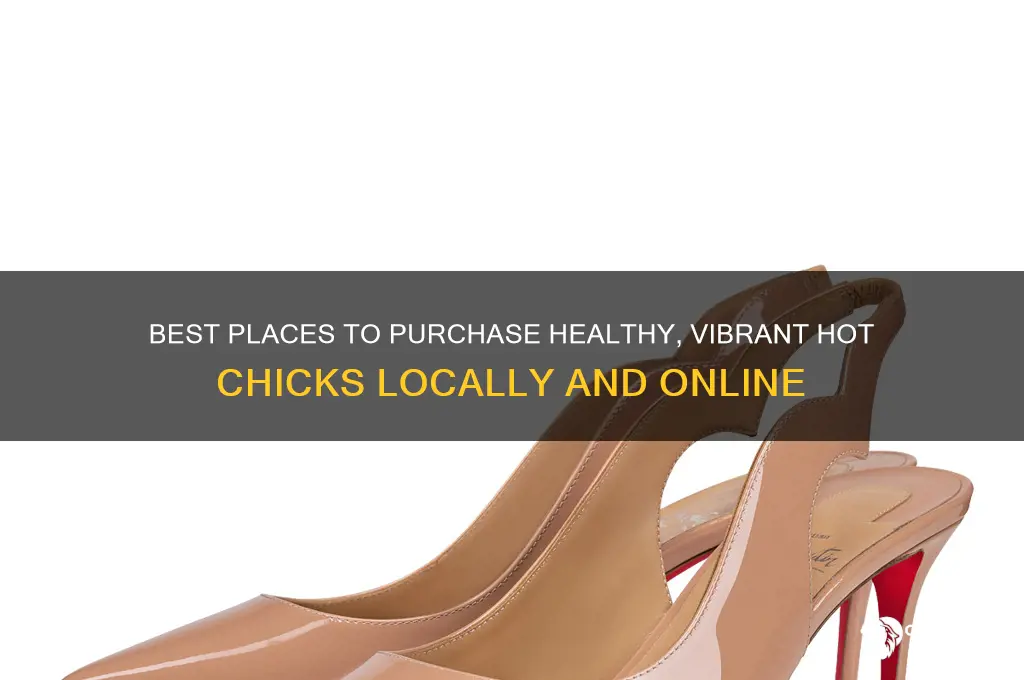 where to buy hot chicks
