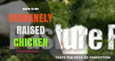 Ethical Eating: Top Sources for Humanely Raised Chicken Nationwide