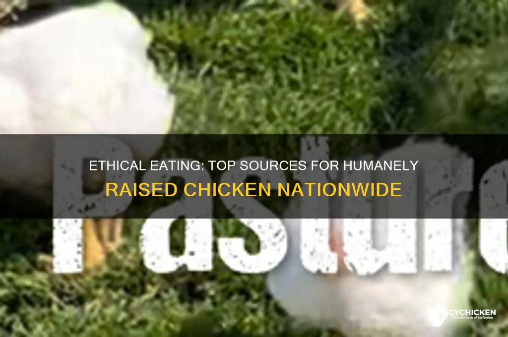 where to buy humanely raised chicken