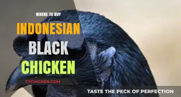 Discover Authentic Sources to Buy Indonesian Black Chicken Online & Locally
