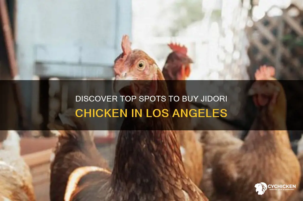 where to buy jidori chicken los angeles