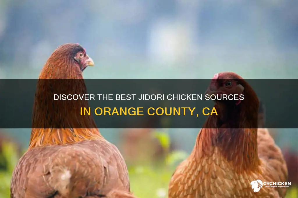 where to buy jidori chicken orange county ca