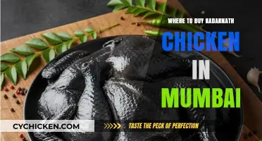 Mumbai's Best Sources for Authentic Kadaknath Chicken: A Buyer's Guide