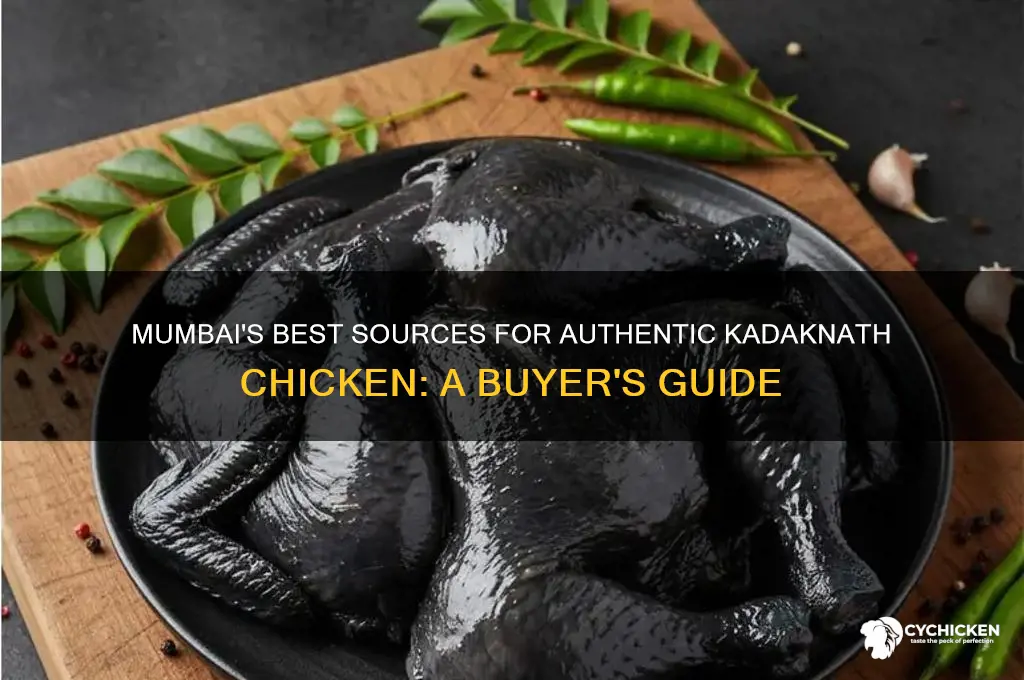 where to buy kadaknath chicken in mumbai
