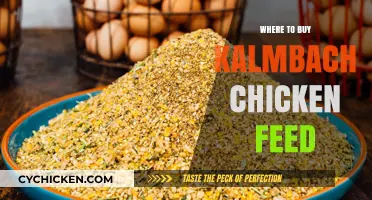 Best Places to Purchase Kalmbach Chicken Feed for Your Flock