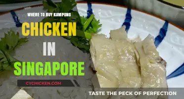 Discover the Best Spots to Buy Kampong Chicken in Singapore