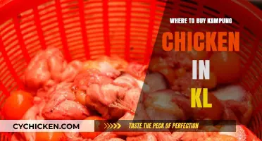 Discover the Best Spots to Buy Kampung Chicken in KL