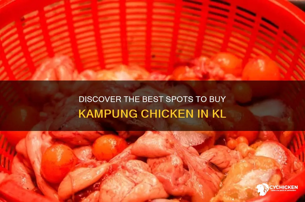 where to buy kampung chicken in kl