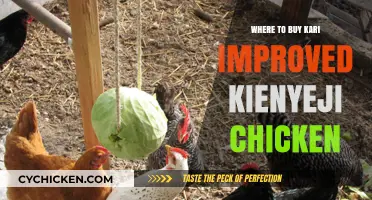 Best Places to Buy Kari Improved Kienyeji Chicken in Kenya