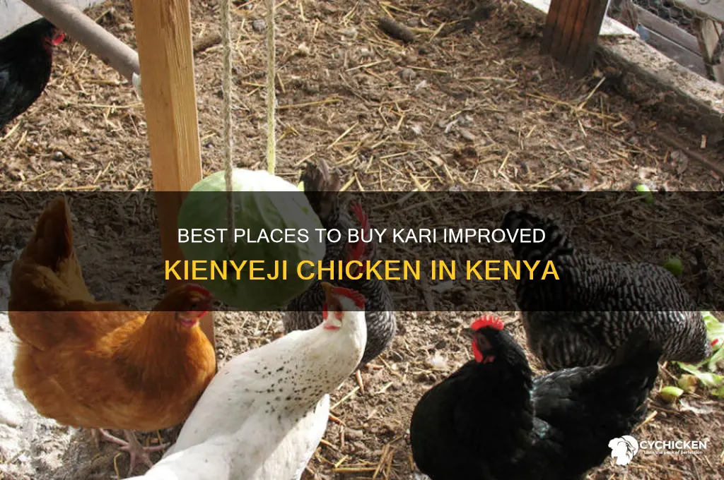 where to buy kari improved kienyeji chicken