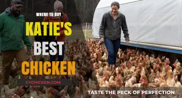 Discover Top Spots to Buy Katie's Best Chicken Near You