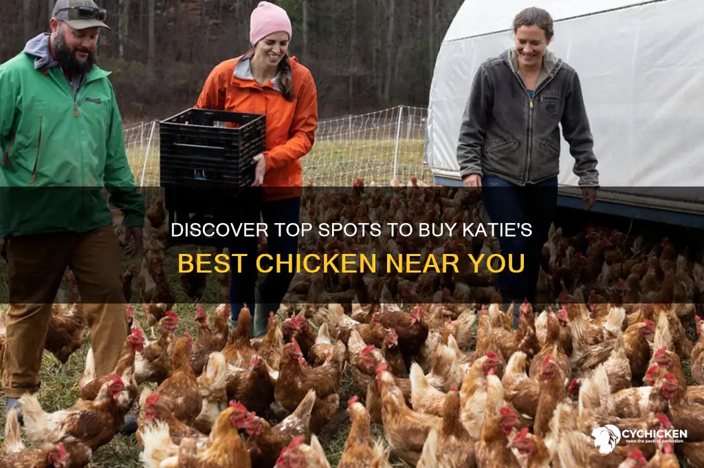 where to buy katie