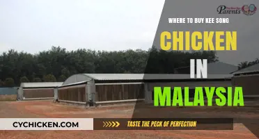 Discover Malaysia's Best Spots to Buy Kee Song Chicken