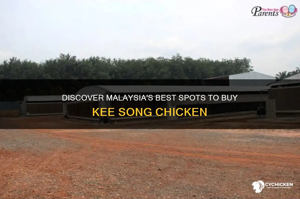 where to buy kee song chicken in malaysia