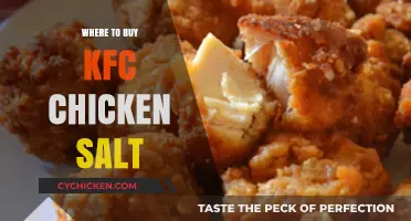Where to Buy KFC Chicken Salt: Top Retailers and Online Stores