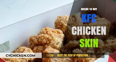 Discover the Best Places to Buy KFC Chicken Skin Online