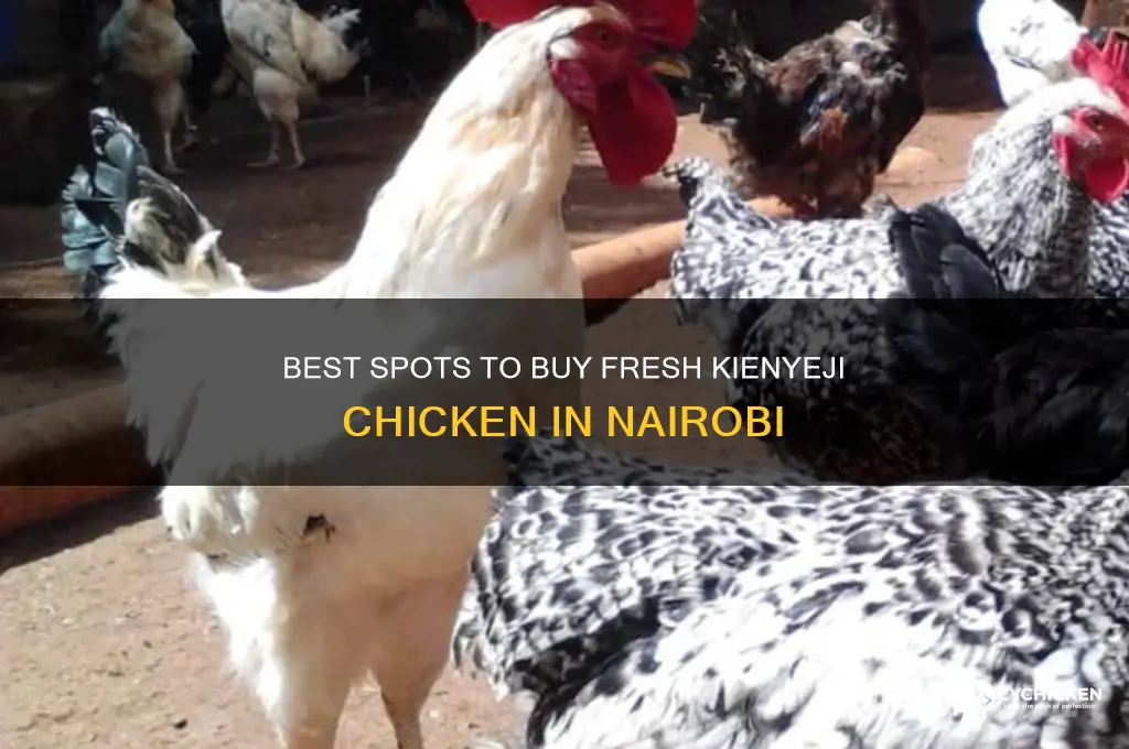 where to buy kienyeji chicken in nairobi