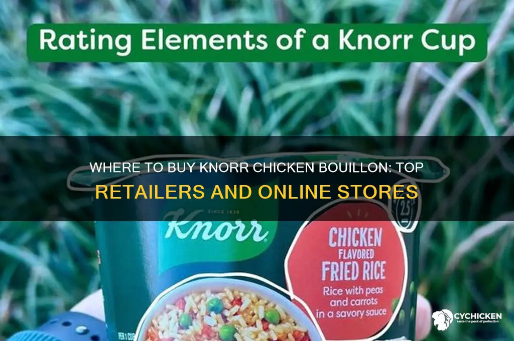 where to buy knorr chicken bouillon