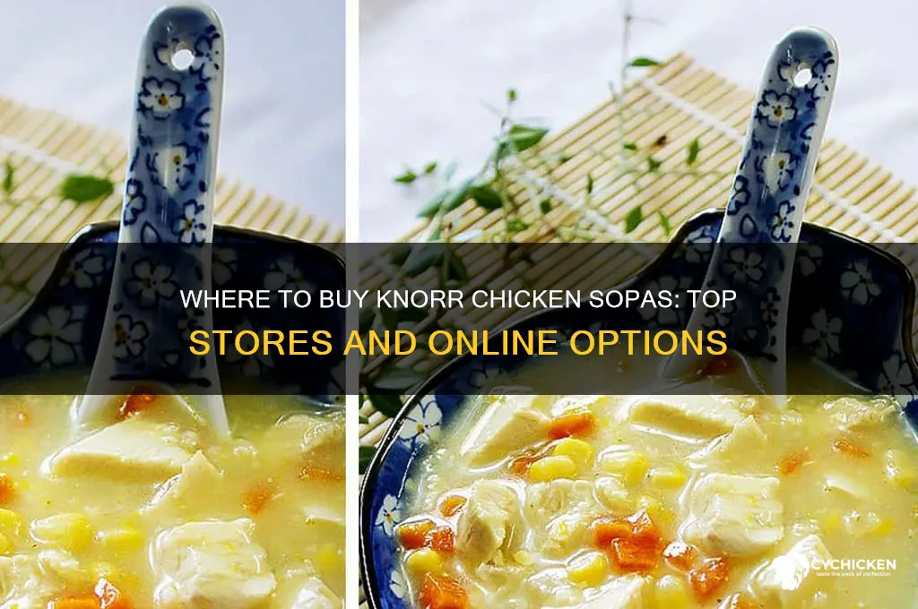 where to buy knorr chicken sopas