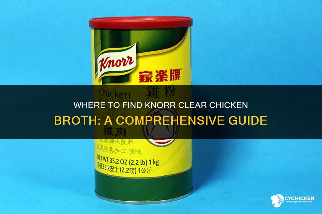 where to buy knorr clear chicken broth