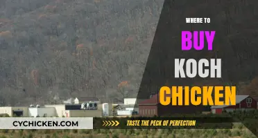 Where to Buy Koch Chicken: Top Retailers and Online Options