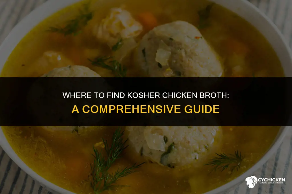 where to buy kosher chicken broth